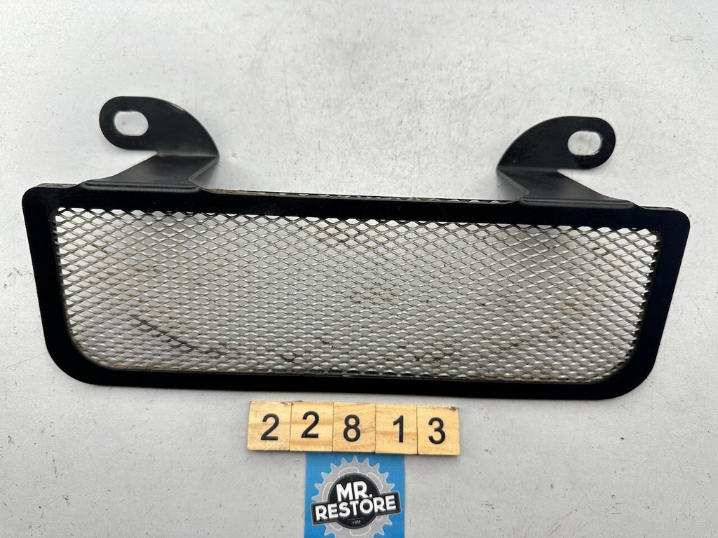 BMW R1200GS ADV 2007 Radiator Grill (Non OEM after market)