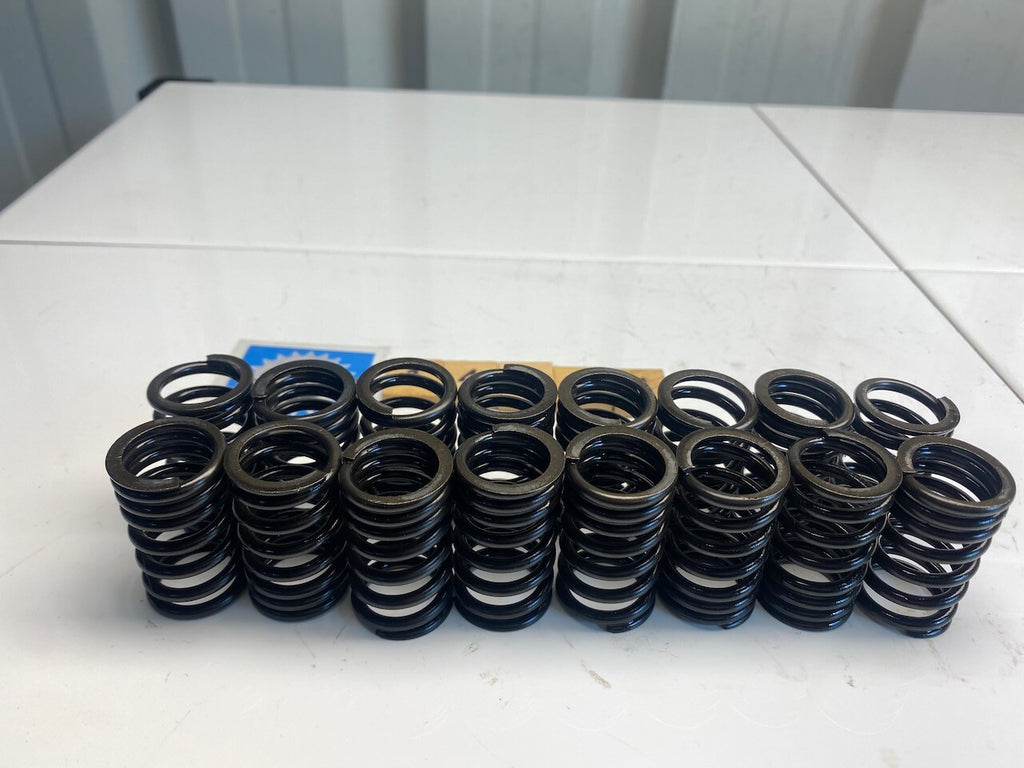 Kawasaki GPZ900R GPZ1000RX Set of 16 Valve Springs 49078-1069