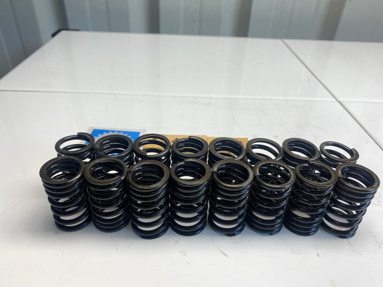 Kawasaki GPZ900R GPZ1000RX Set of 16 Valve Springs 49078-1069