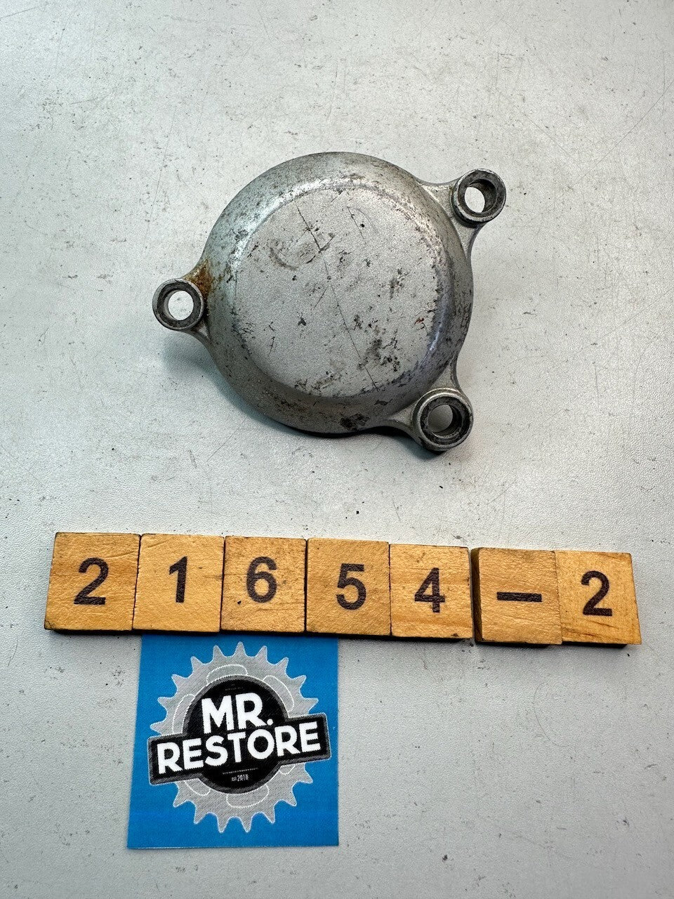 Yamaha XT225 TTR225 TW200 Oil Pump Element Cover 3AW-13447