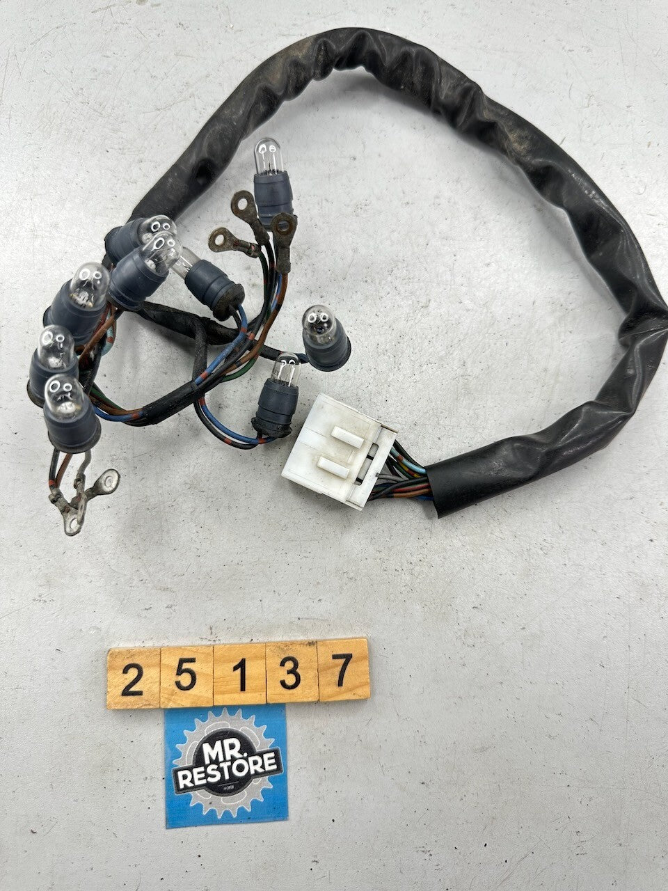 Yamaha FZR1000 1994-1995 Dash Lights Harness 3GM-83509-10
