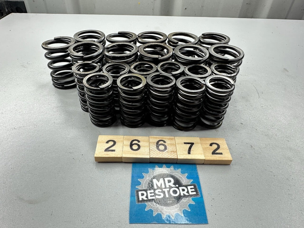 Yamaha XJ900 XJ750 XJ650 Inner & Outer Valve Springs (x 11 of each)
