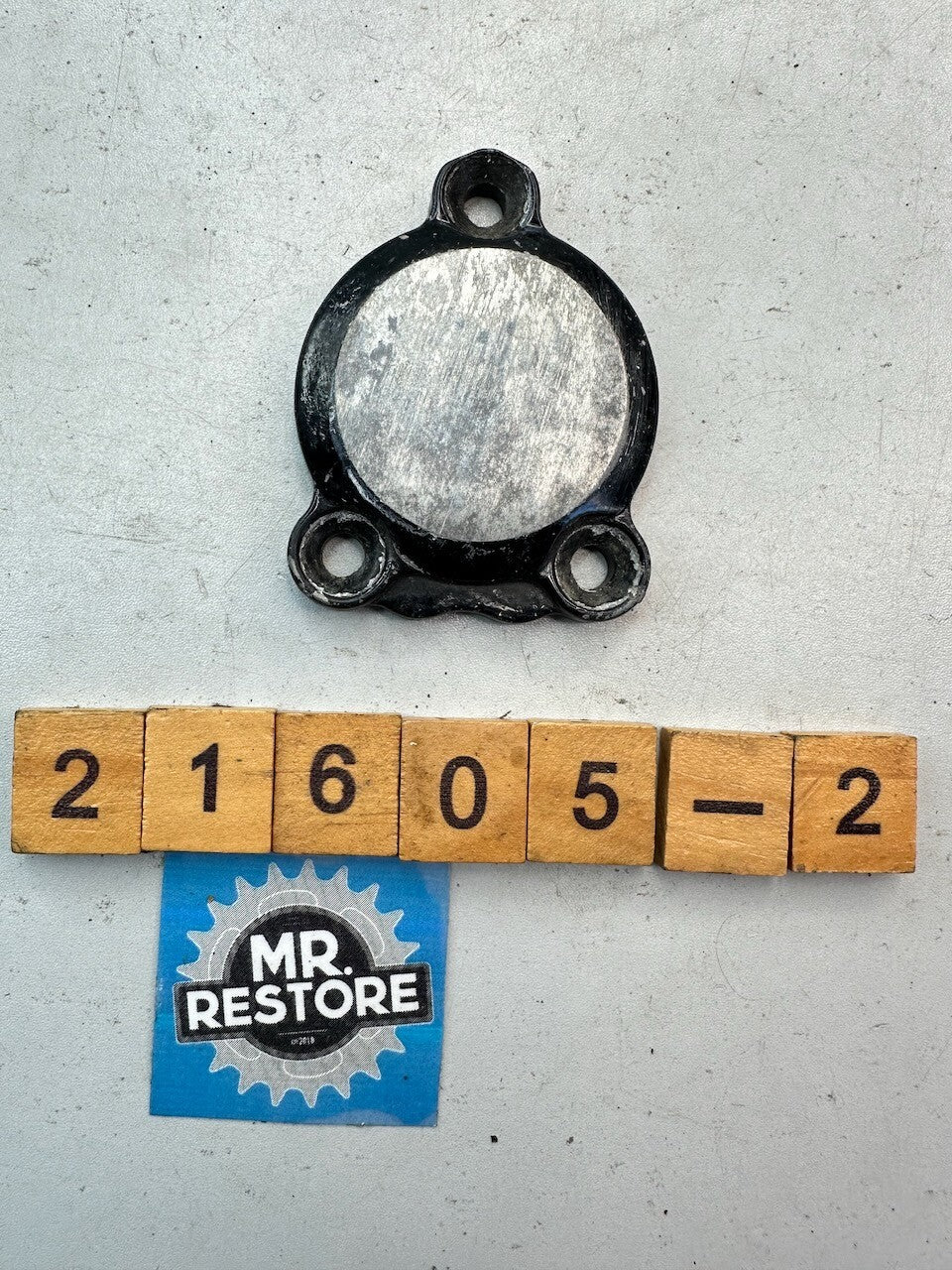 Yamaha FZR1000 FZ750 Oil Pump Cover 1TV-15416-00