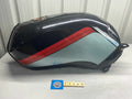 Suzuki GSX250FW Fuel Gas Tank
