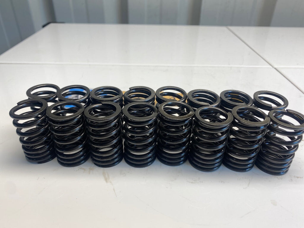 Kawasaki GPZ900R GPZ1000RX Set of 16 Valve Springs 49078-1069
