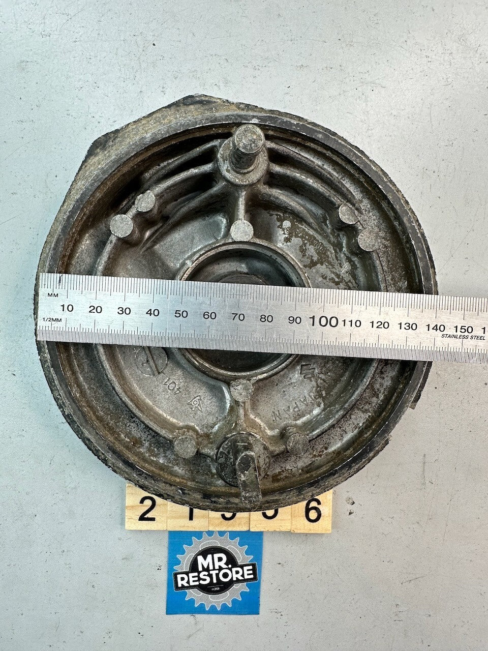 Suzuki TS250 Brake Shoe Panel