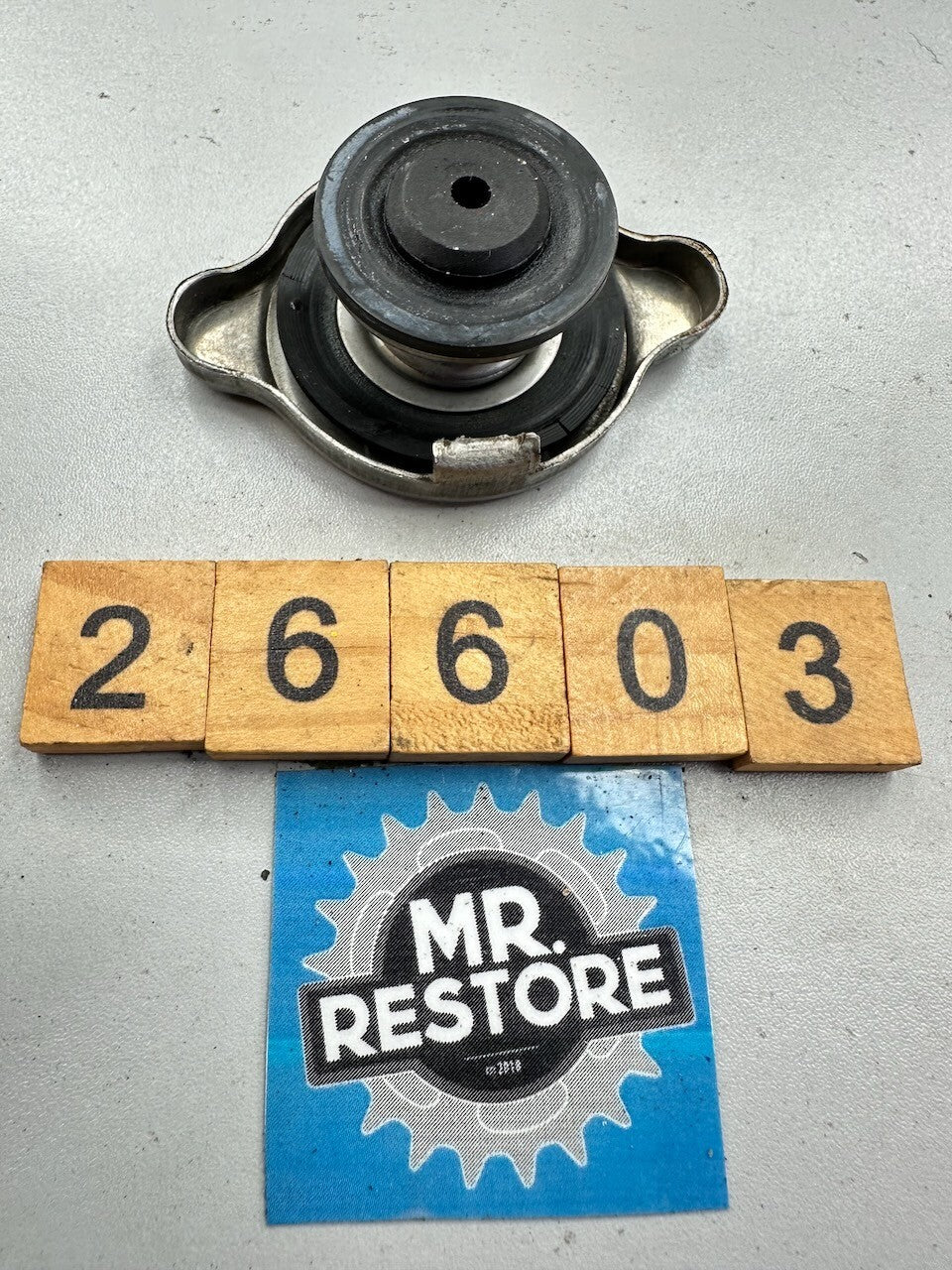 BMW K1200S '03-08' K1200R K1200GT Radiator Lid Cap 17117687715