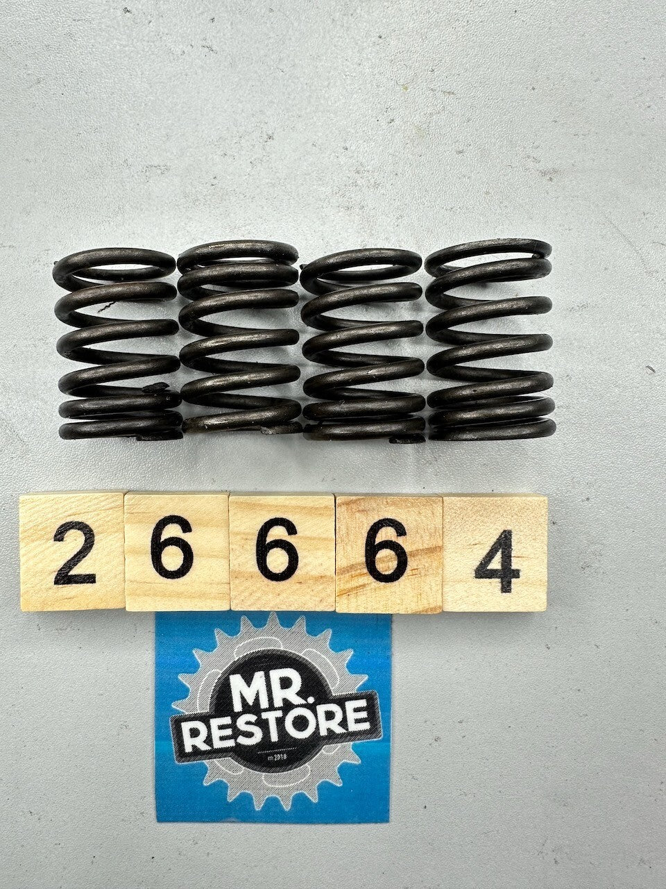 Yamaha XV250 XVS250 SRV250 Valve Springs Set of 4 - 5KR-12113-00