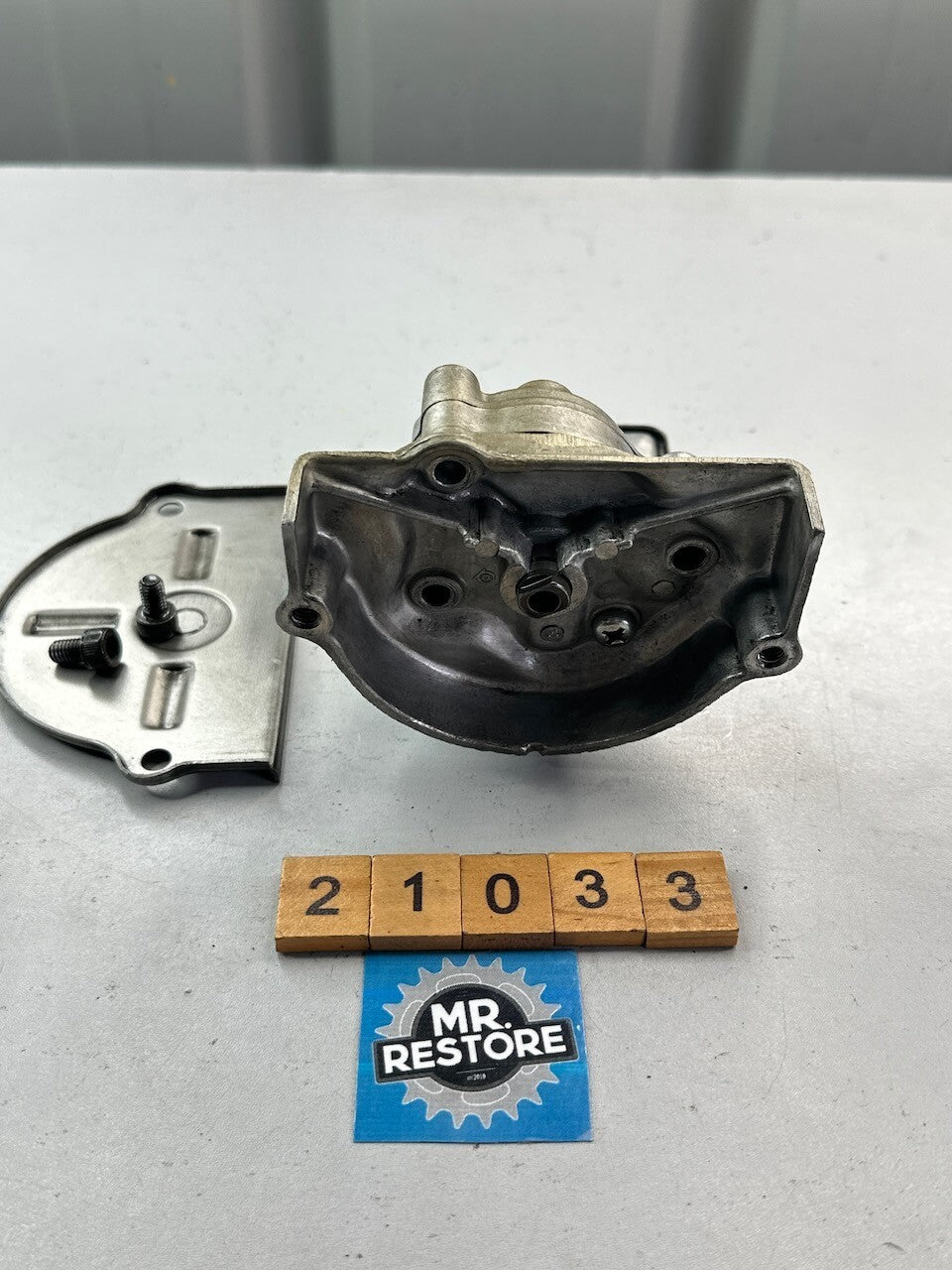 Yamaha XV1100 XV1000 XV750 XV700 XVS1100 Oil Pump Assy. & Cover