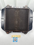 Kawasaki ZZR250 ZX250 EX250 '88-07' Radiator & Fan 39060-1087  59502-1066