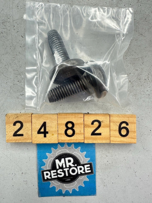 BMW G650GS '08-16' F650GS '99-07' Pair of Camshaft Torx Bolts 11317654011