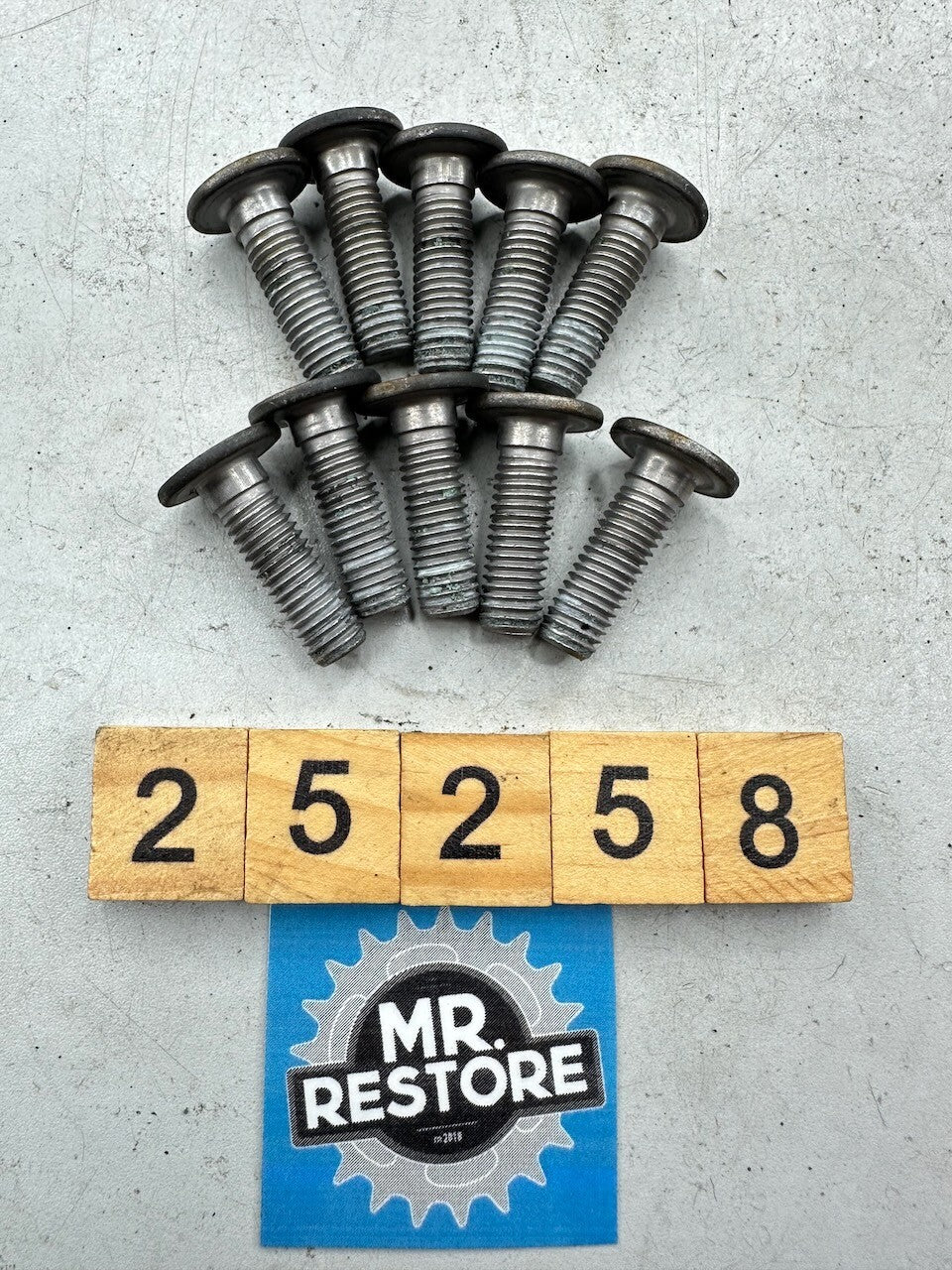 BMW K1300R + Many Models Front Brake Disc Bolt Screw (set of 10) 34117700989