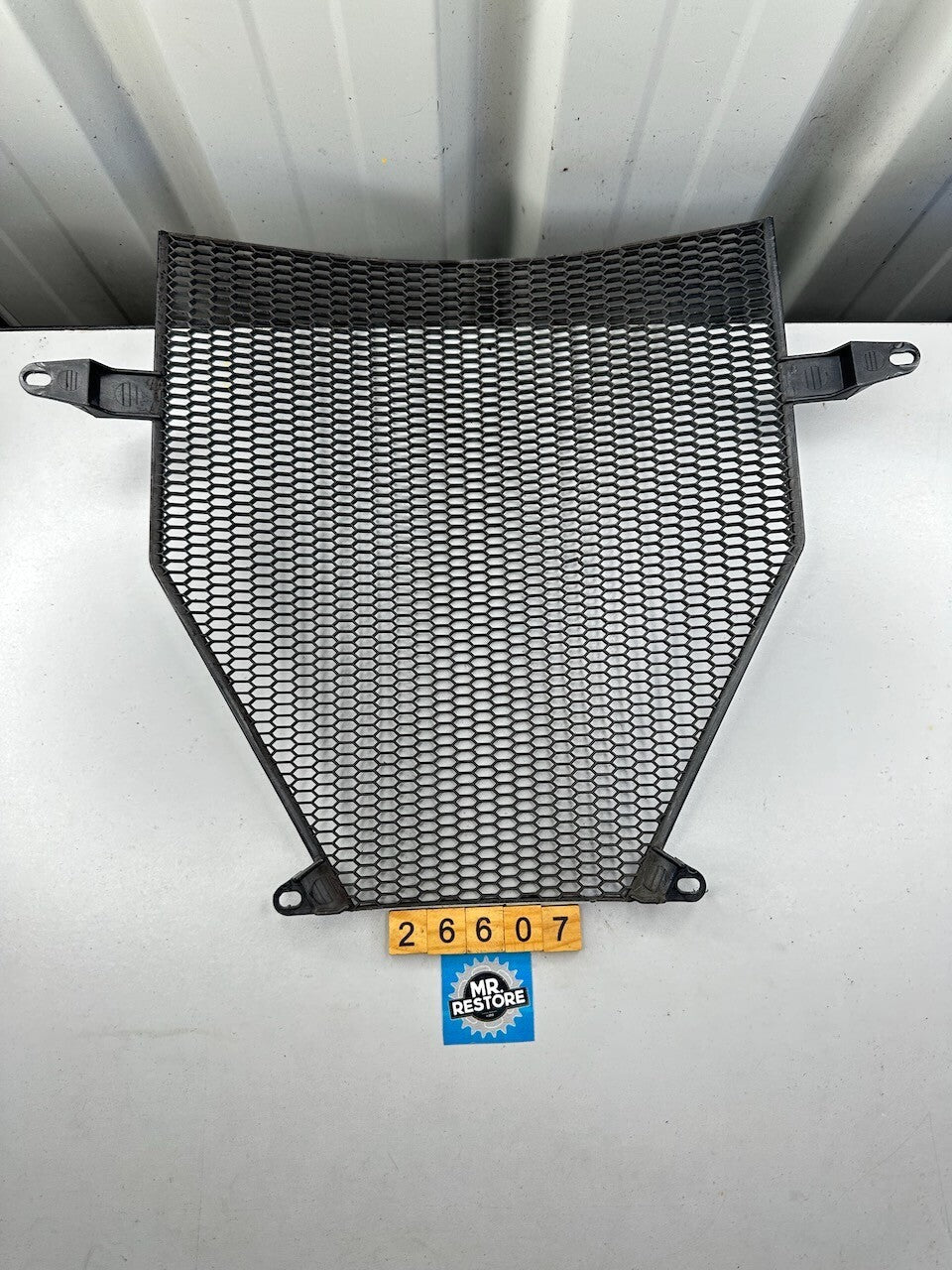 BMW K1200S K1300S K1300R K1200R K1300GT K1200GT K1600 Radiator Grille