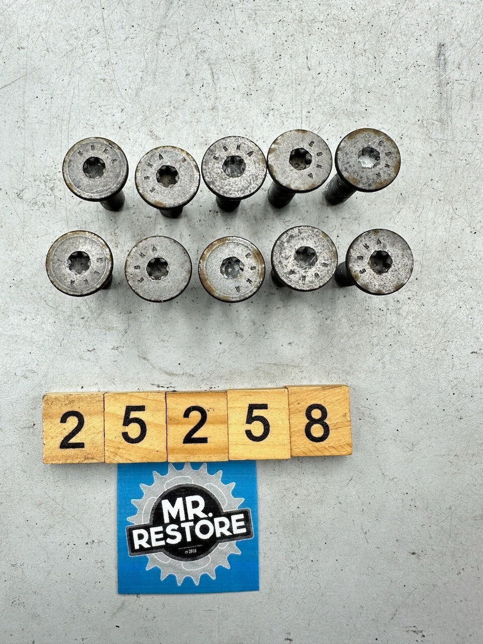 BMW K1300R + Many Models Front Brake Disc Bolt Screw (set of 10) 34117700989