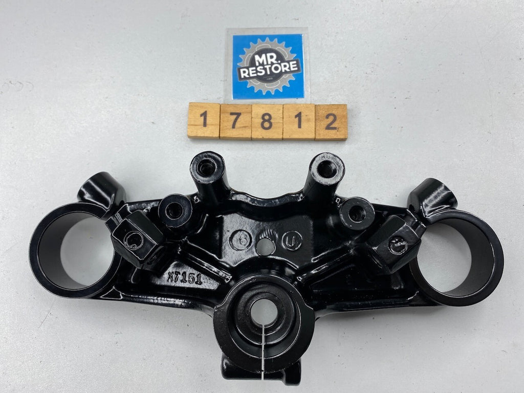 Suzuki RG500 RG400 Steering Stem Head 51311-20A00-291 - Repainted