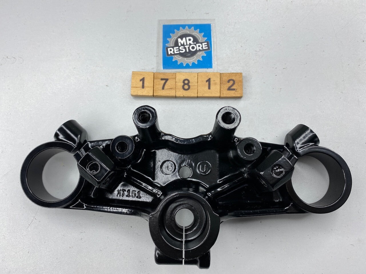 Suzuki RG500 RG400 Steering Stem Head 51311-20A00-291 - Repainted