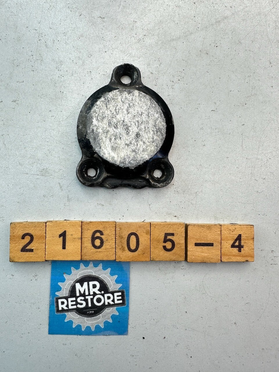 Yamaha FZR1000 FZ750 Oil Pump Cover 1TV-15416-00