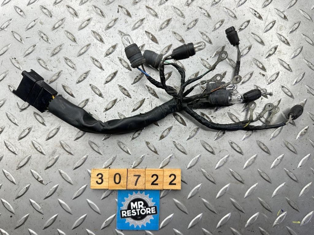Suzuki GSX250F Across Meter Clocks Wire Harness