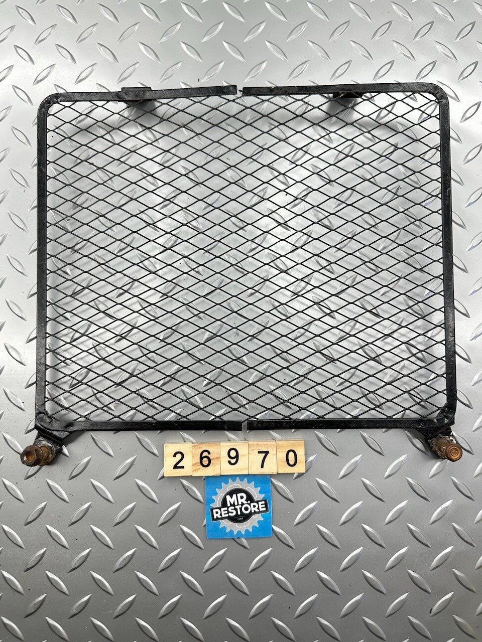 Kawasaki ZR250 EX500 EX400 KLE500 KLE400 KR250 Radiator Protector Grille