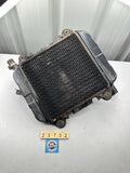 Kawasaki ZZR250 ZX250 EX250 '88-07' Radiator & Fan 39060-1087  59502-1066