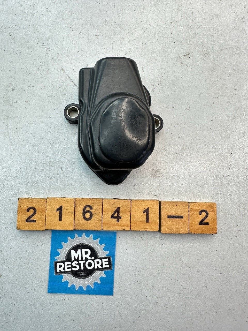 Yamaha Beluga Jog Oil Pump Cover & Bung 24G-15416-00