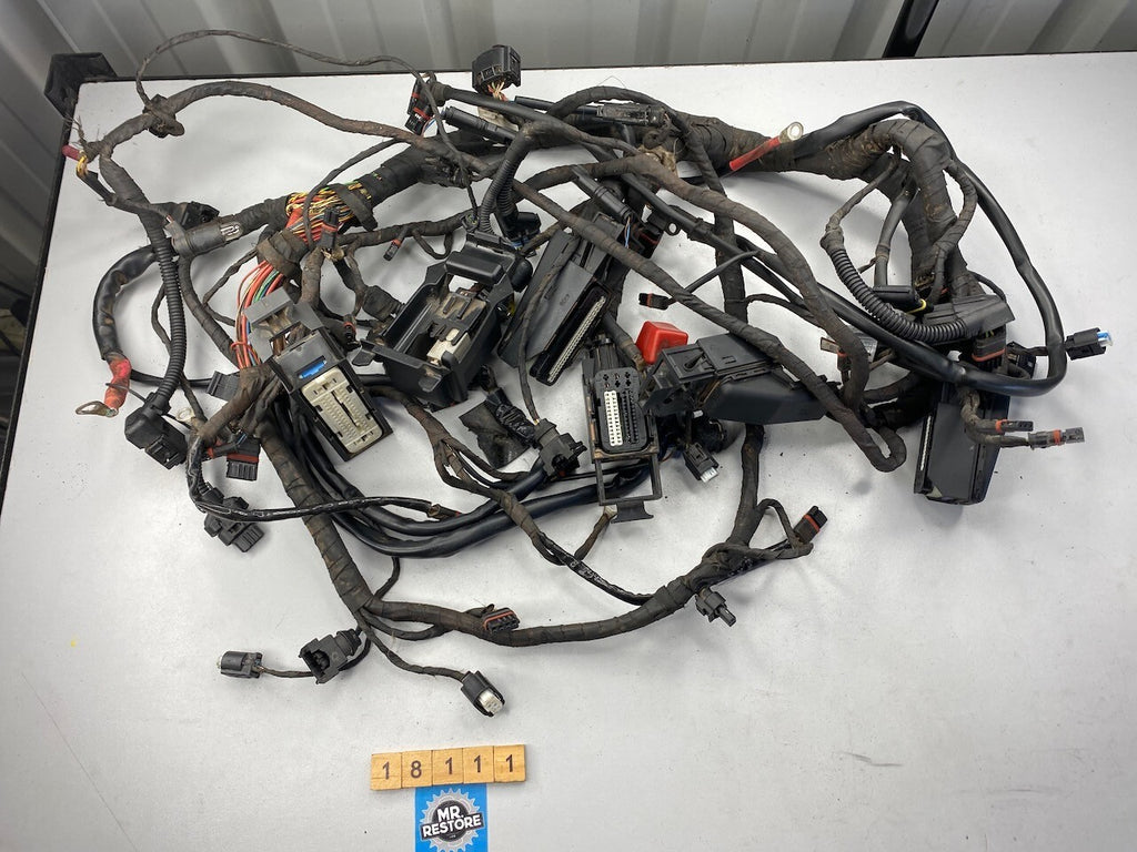 BMW R1200GS 2010 Wiring Loom Harness
