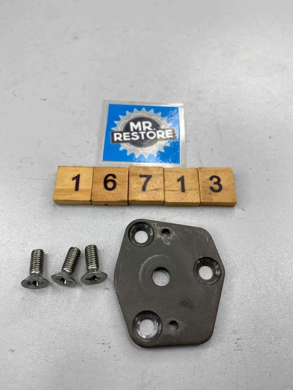 Suzuki RGV250 1989-96 Oil Pump Cover & Screws 16431-12C00