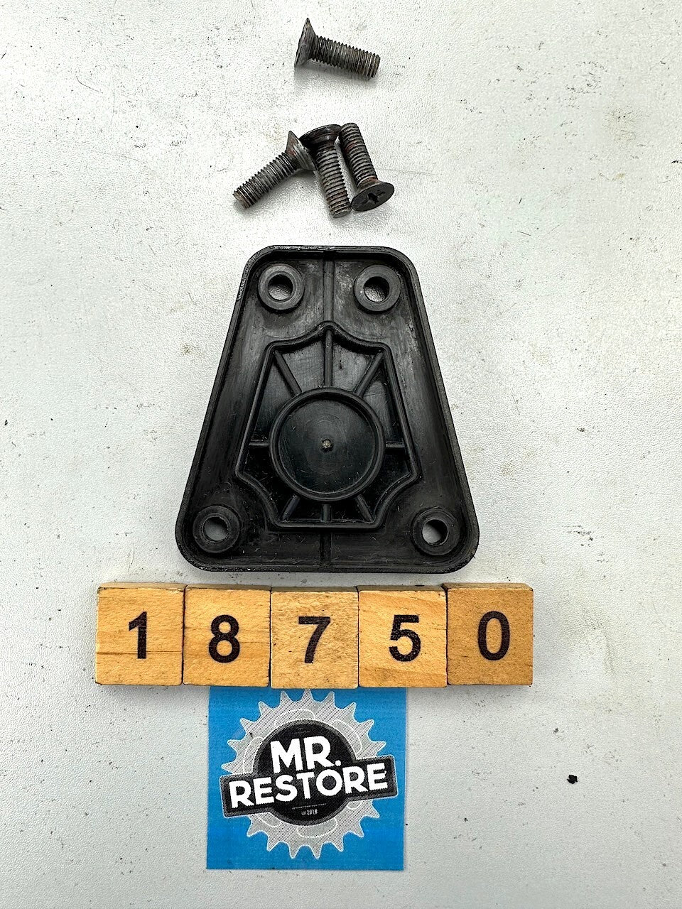 Kawasaki Z1000 KZ1000 Z1-R Master Cylinder Cap & Screws 43026-1004