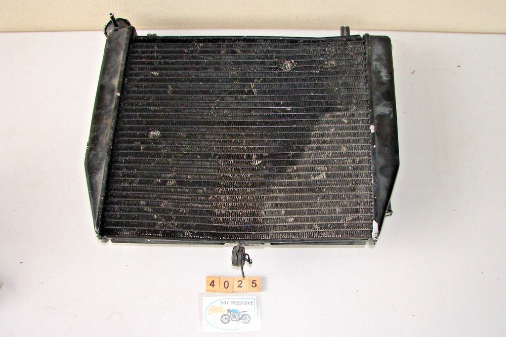 Yamaha YZF R1 2002 Radiator OEM Genuine 5PW-12461