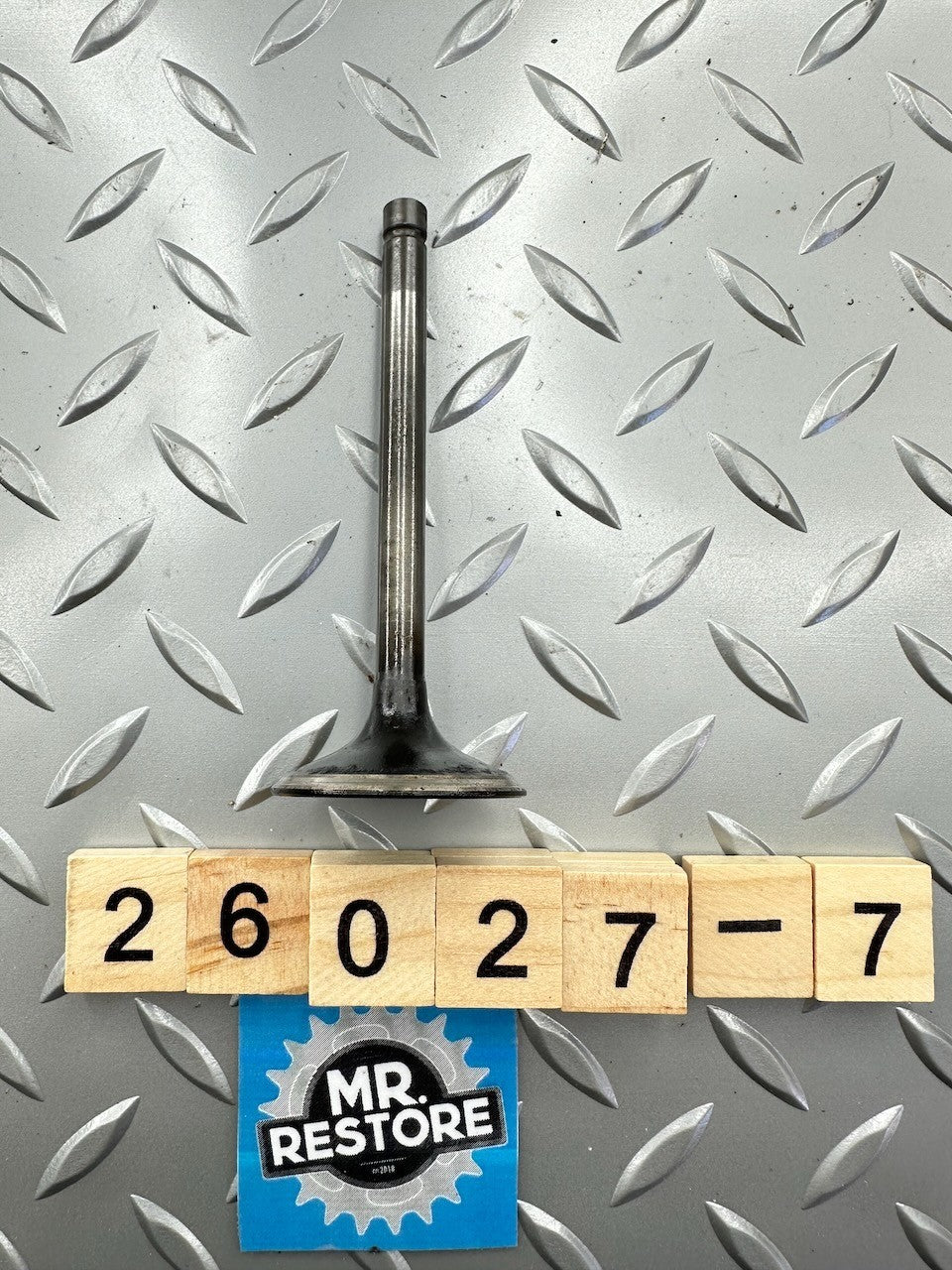 Kawasaki Z1300 KZ1300 '79-82' Intake Valve 12004-1004