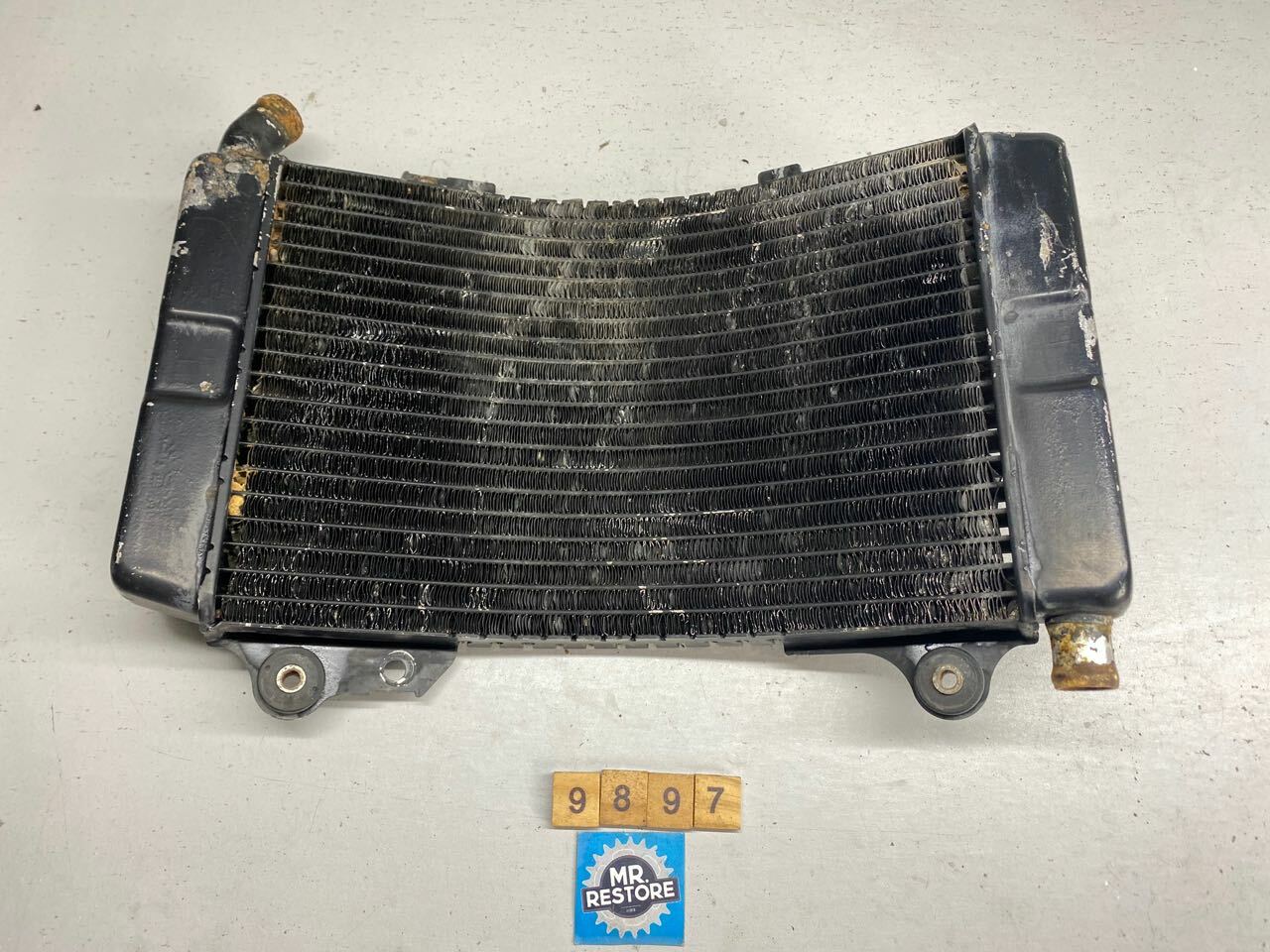 Suzuki GSX250F Across - Radiator OEM - 17710-24D00
