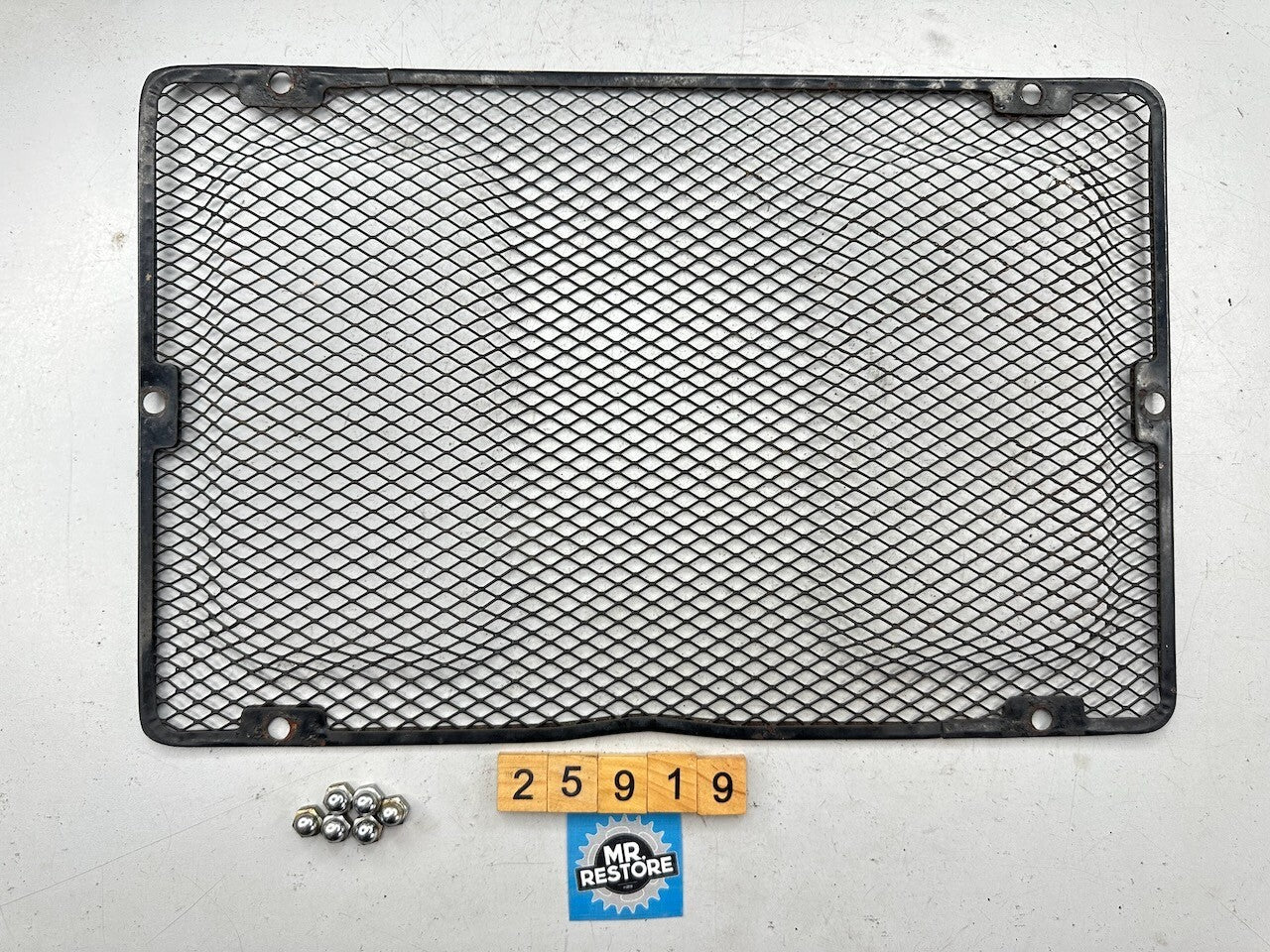 Kawasaki Z1300 KZ1300 ZG1300 OEM Radiator Screen Guard & Dome Nuts 14037-1001