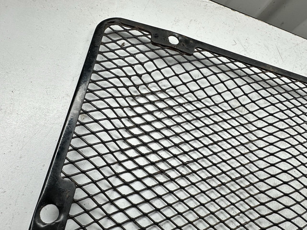 Kawasaki Z1300 KZ1300 ZG1300 OEM Radiator Screen Guard & Dome Nuts 14037-1001