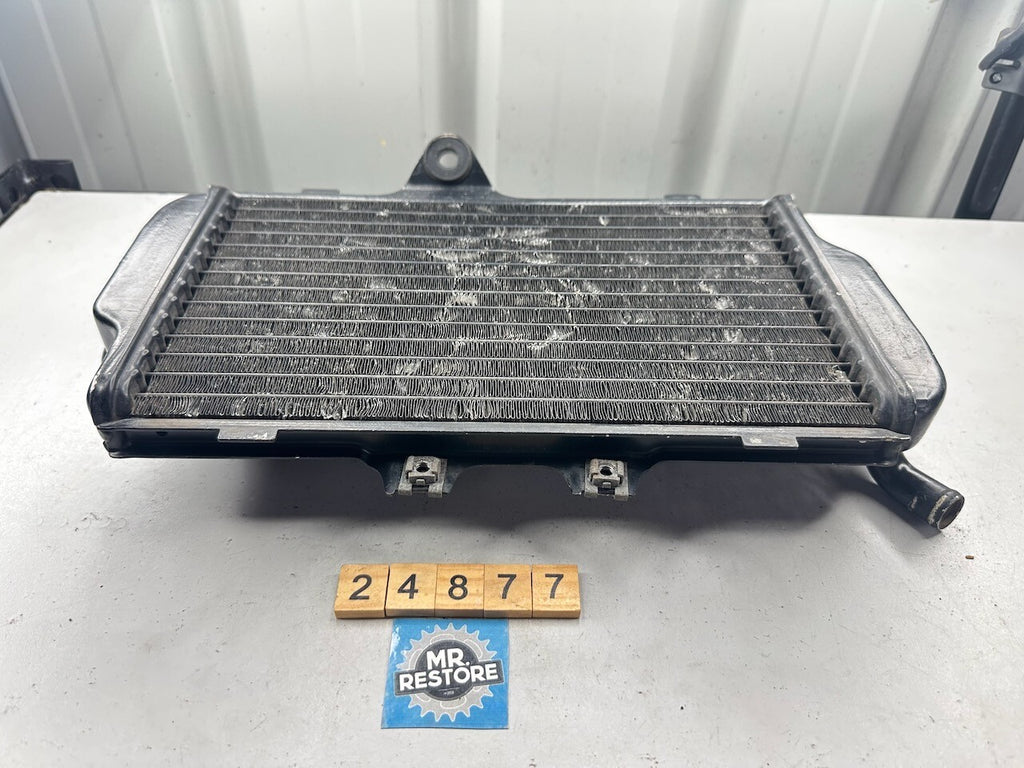 Yamaha FZR250 3LN '89-94' Radiator 3LN-12461  3LN-12461-00-00