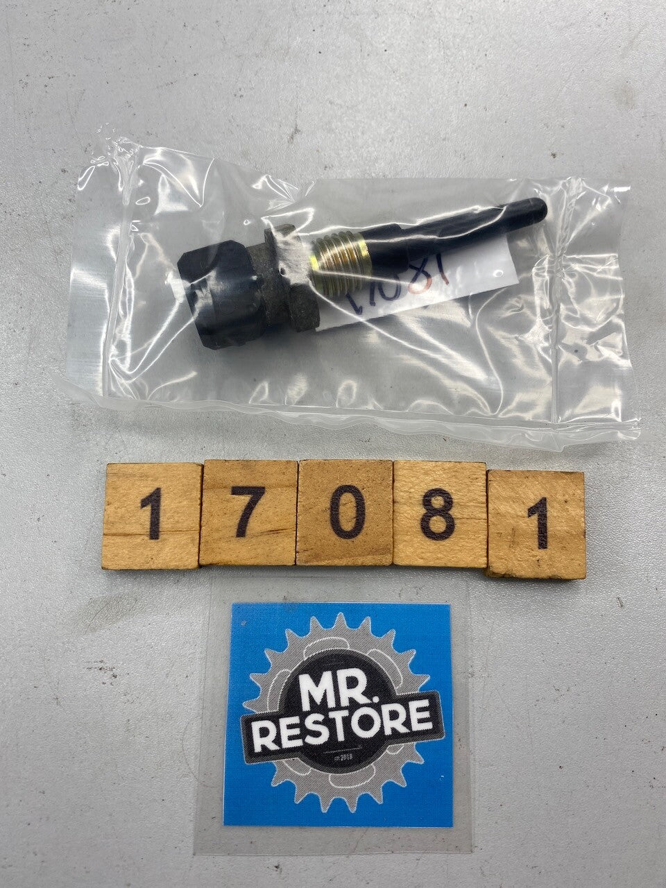 BMW  R1150 R1100 R850 259T 259E R22  Air Intake Temperature Sensor 13621341550