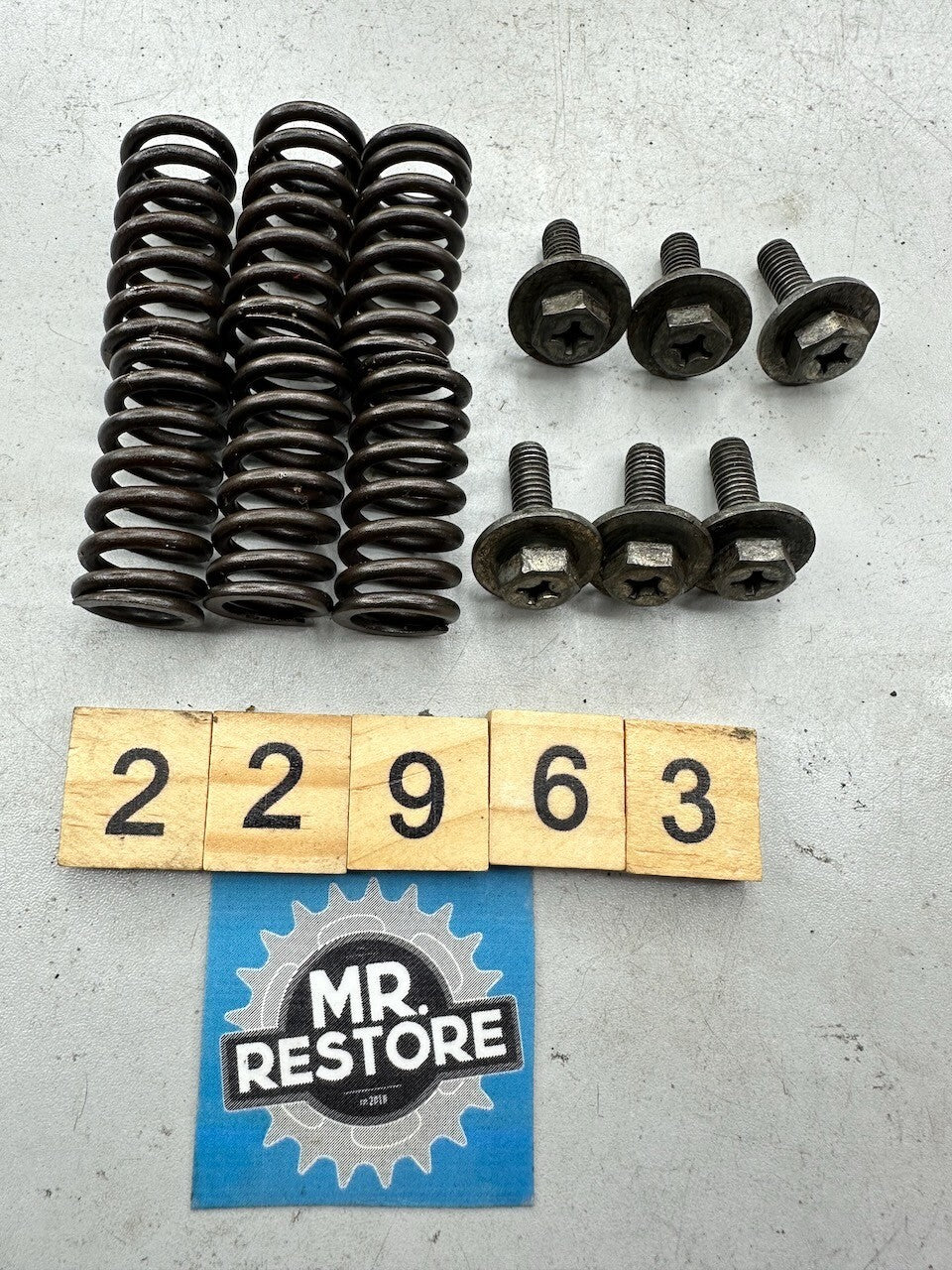 Yamaha XS400 XS650 XT600 XT500 XT250 TT600 TT250 XV250 Clutch Springs & Screws
