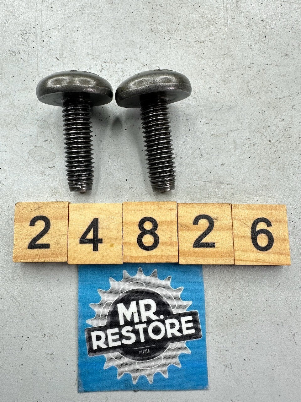 BMW G650GS '08-16' F650GS '99-07' Pair of Camshaft Torx Bolts 11317654011