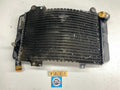 Suzuki GSX250F Across - Radiator OEM - 17710-24D00
