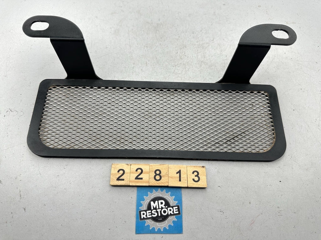 BMW R1200GS ADV 2007 Radiator Grill (Non OEM after market)
