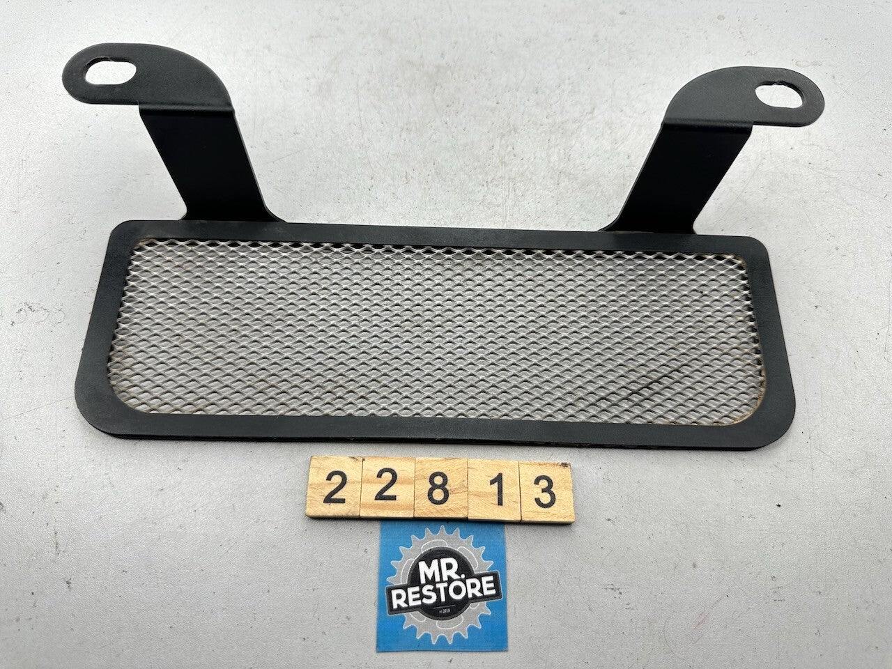 BMW R1200GS ADV 2007 Radiator Grill (Non OEM after market)