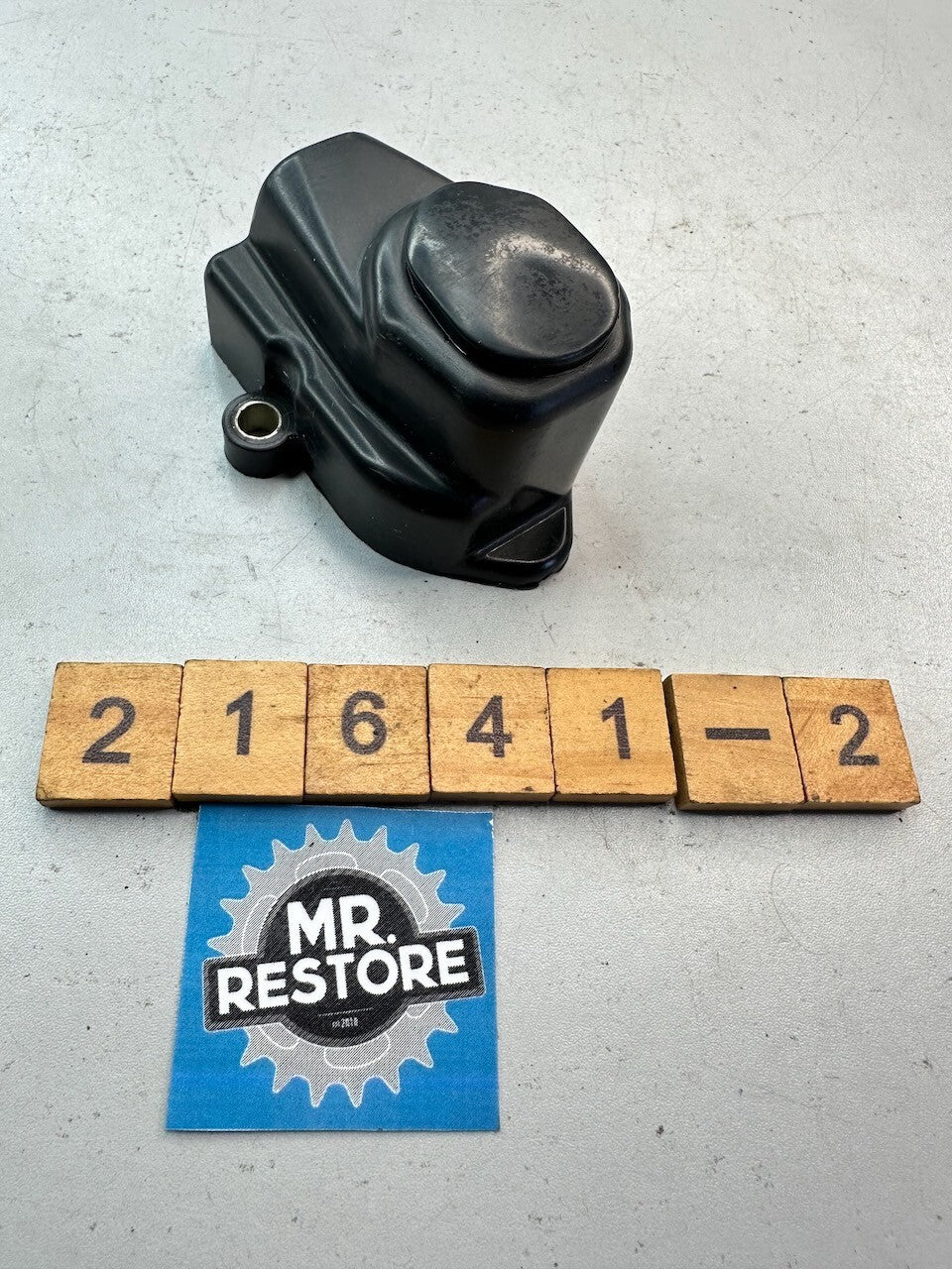 Yamaha Beluga Jog Oil Pump Cover & Bung 24G-15416-00