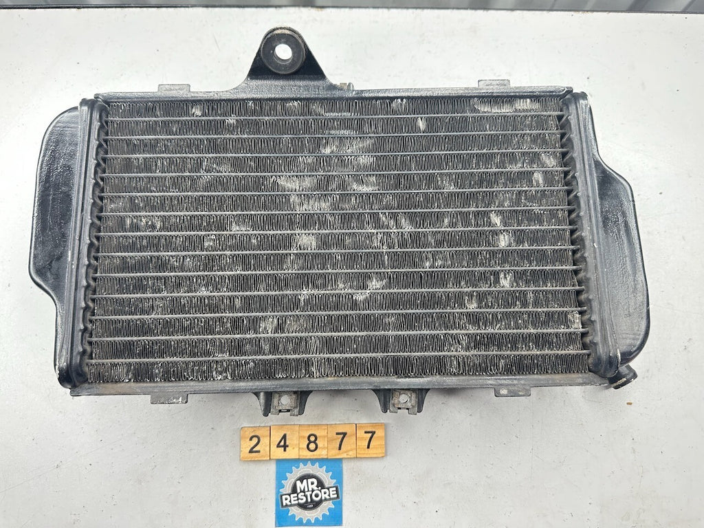 Yamaha FZR250 3LN '89-94' Radiator 3LN-12461  3LN-12461-00-00