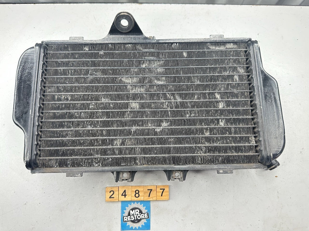 Yamaha FZR250 3LN '89-94' Radiator 3LN-12461  3LN-12461-00-00