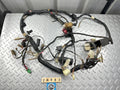 Kawasaki ZR250 Balius Wiring Wire Loom Harness