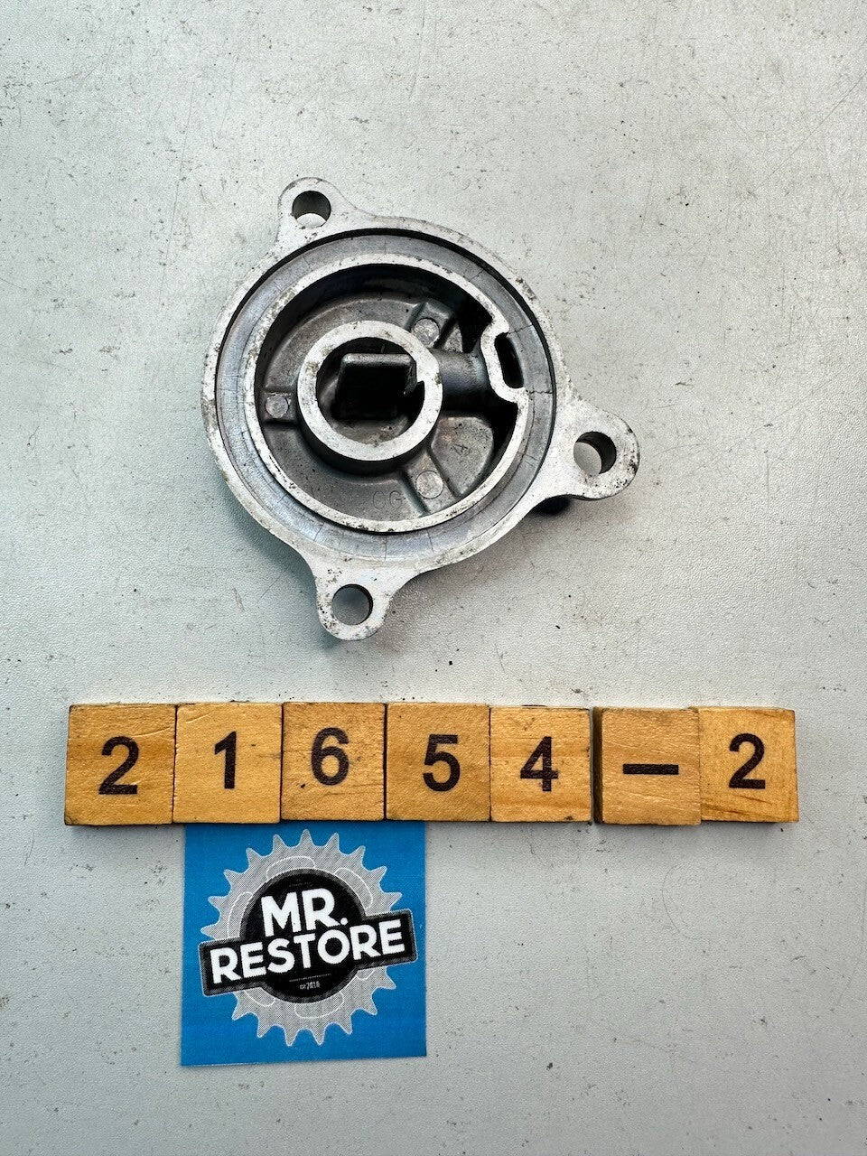 Yamaha XT225 TTR225 TW200 Oil Pump Element Cover 3AW-13447