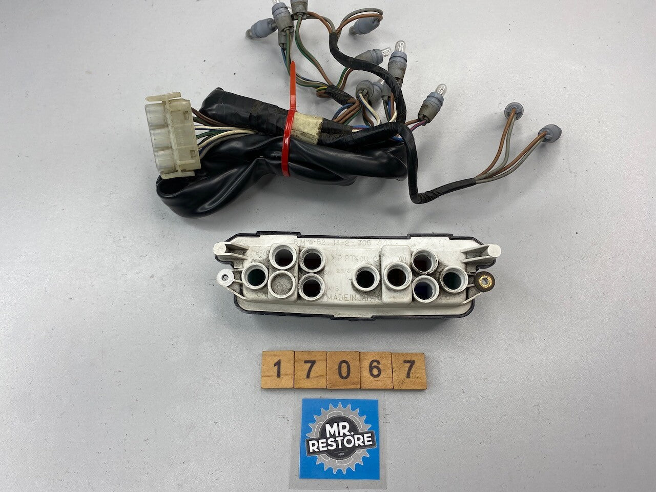 BMW R1150 R1100 R850 259T 259E Tell Tale Dash Light Unit & Wire Loom 62142306443