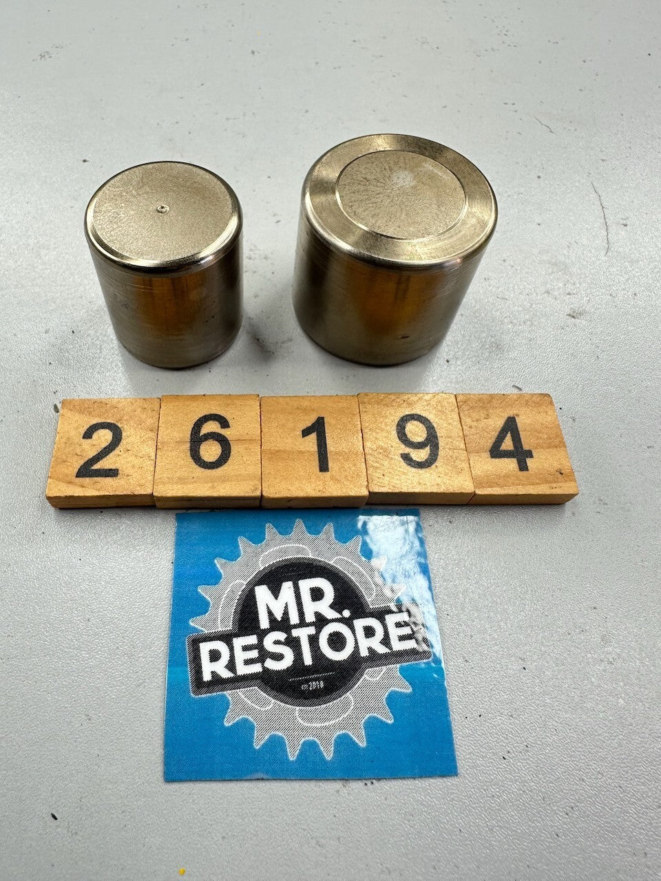 Kawasaki ZX750 F Ninja 750 R GPX750 + Many Models Front Caliper Pistons
