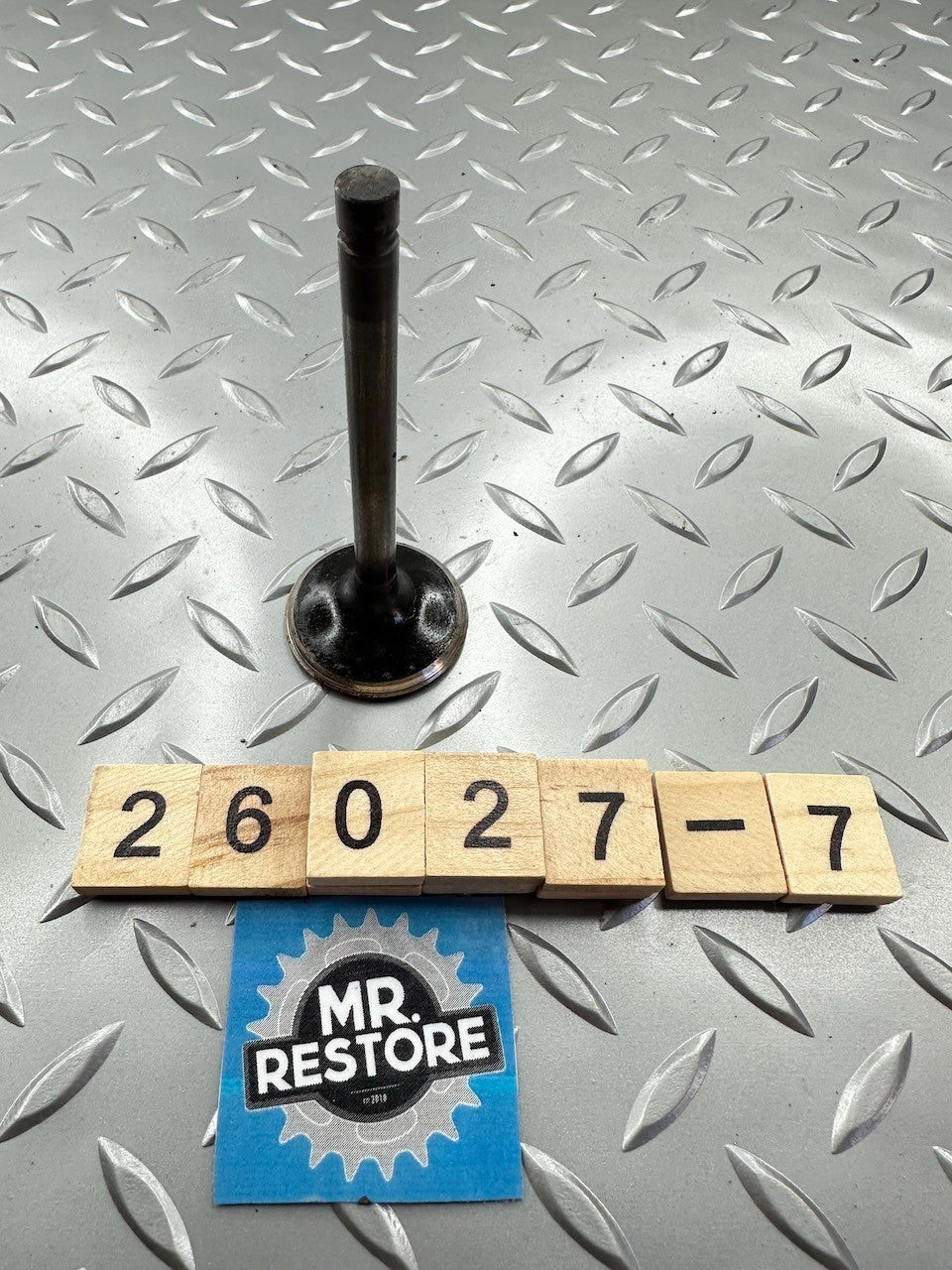 Kawasaki Z1300 KZ1300 '79-82' Intake Valve 12004-1004