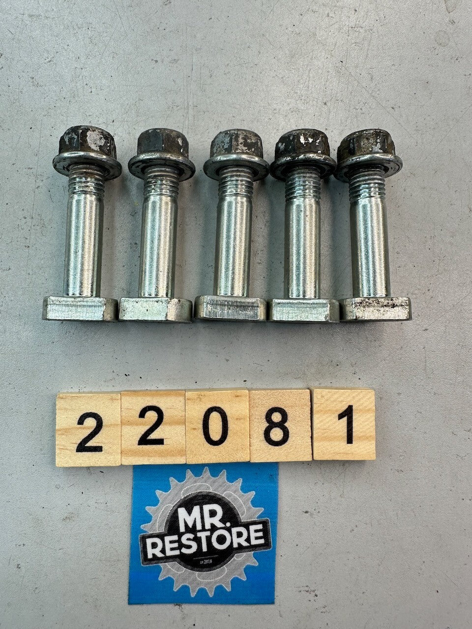 Suzuki GSF1200 GSF250 GSXR1100 GSXR750 GSX1200 GSX750 RF900 Rear Hub Bolts