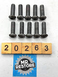 BMW F800S R1200GS K1200R K1 R1100S Front Brake Disk Screw (x10) 36317709543